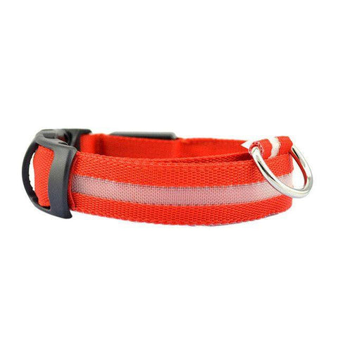 Nylon Solid LED Dog Collar