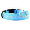 Nylon Solid LED Dog Collar