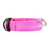 Nylon Solid LED Dog Collar